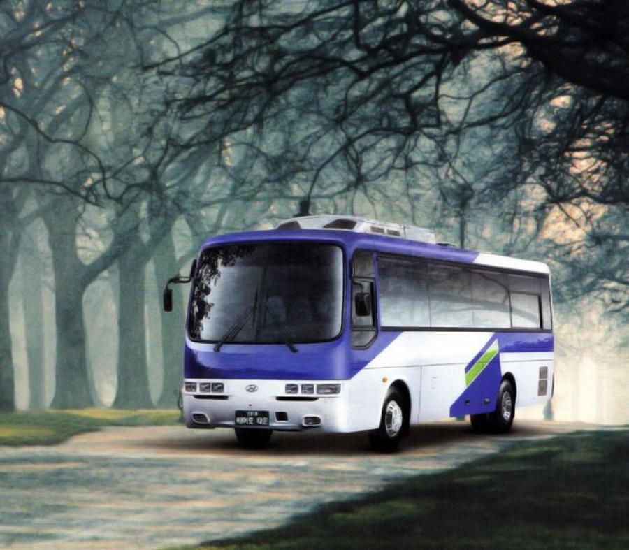  Hyundai Aero Town 1998 года  (фото 4 из 6)